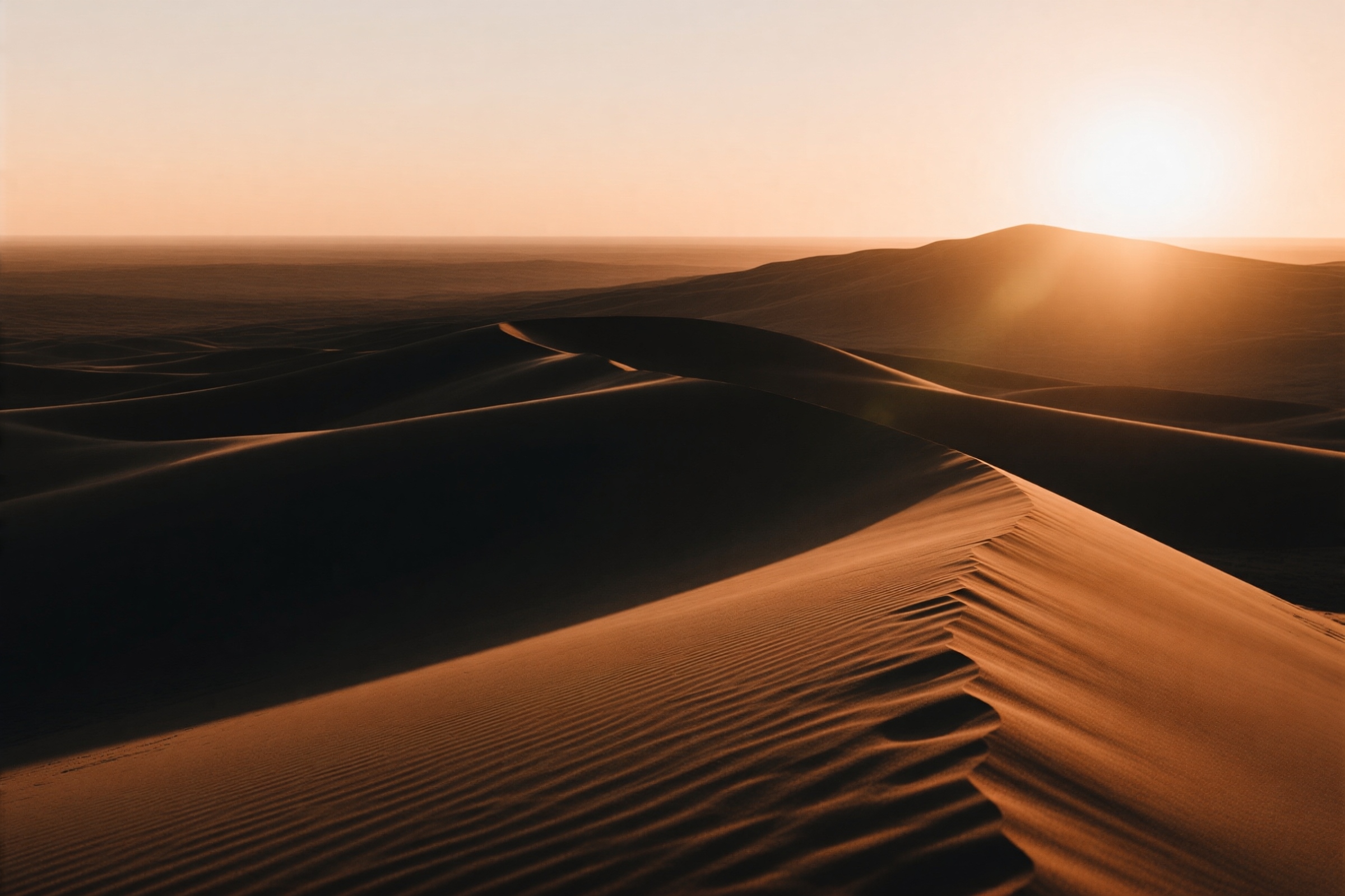Wind-carved sand dunes stretching to the horizon under warm late-day light